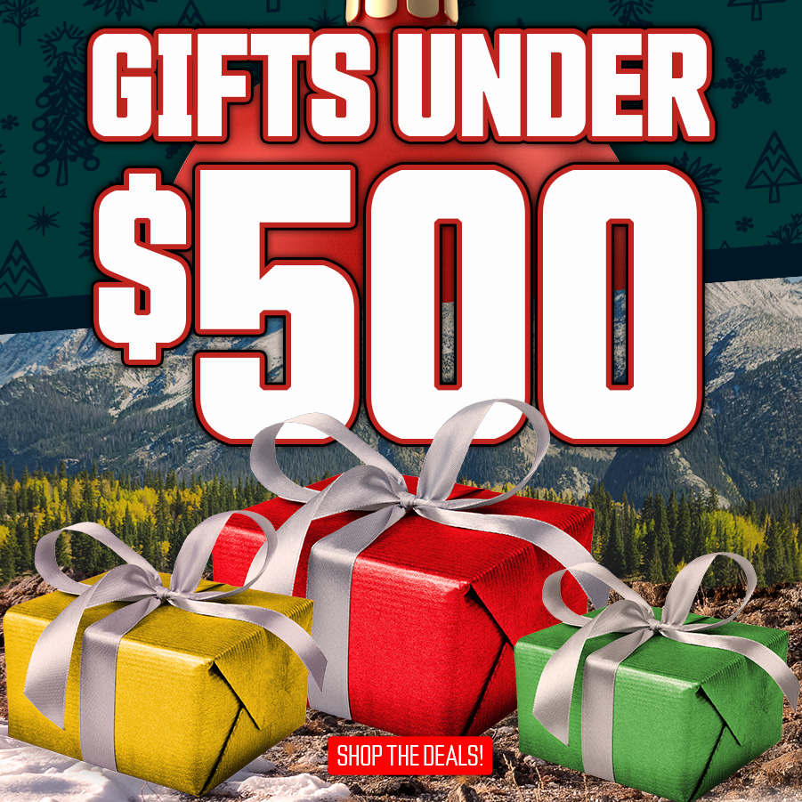 Gifts Under $500