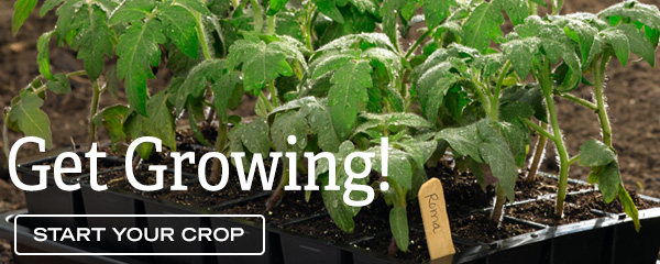 Get Growing - Start Your Crop