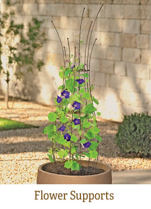 Shop Flower Supports