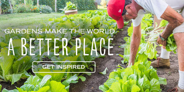 Gardens Make the World a Better Place - Get Inspired