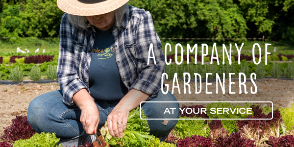 A Company of Gardeners - At Your Service