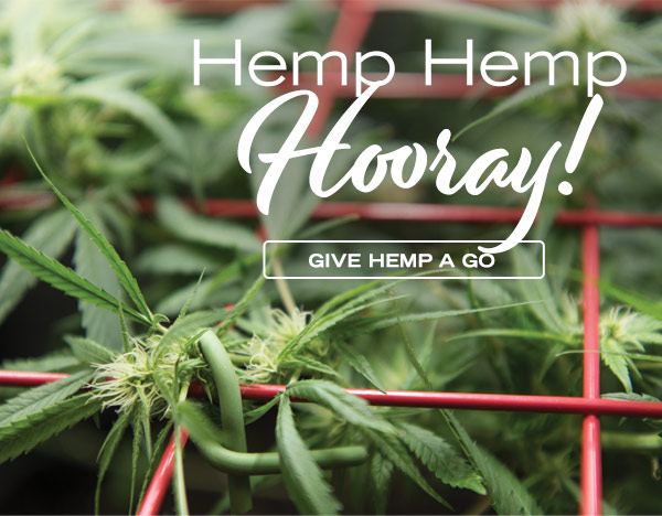 Hemp Hemp Hooray! Give Hemp a Go