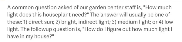 A common question asked of our garden center staff is, "How much light does this houseplant need?" The answer will usually be one of these: 1) direct sun; 2) bright, indirect light; 3) medium light; or 4) low light. The followup question is, "How do I figure out how much light I have in my house?"