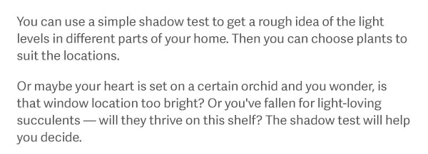 You can use a simple shadow test — ideally before you buy a plant — to get a rough idea of the light levels in different parts of your home. Then you can choose plants to suit the locations. Or maybe your heart is set on a certain orchid and wonder, is that window location too bright? Or you've fallen for light-loving succulents — will they thrive on this shelf? The shadow test will help you decide.