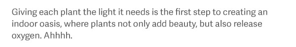 Giving each plant the light it needs is the first step to creating an indoor oasis, where plants not only add beauty, but also release oxygen. Ahhhh.