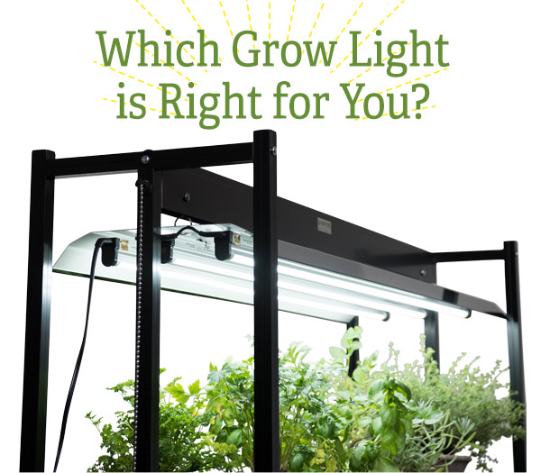 Which Grow Light is Right for You?