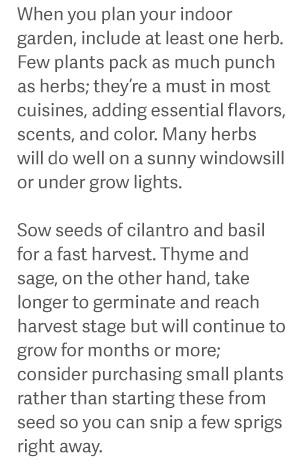 When you plan your indoor garden, include at least one herb. Few plants pack as much punch as herbs; they’re a must in most cuisines, adding essential flavors, scents, and color. Many herbs will do well on a sunny windowsill or under grow lights. Sow seeds of cilantro and basil for a fast harvest. Thyme and sage, on the other hand, take longer to germinate and reach harvest stage but will continue to grow for months or more; consider purchasing small plants rather than starting these from seed so you can snip a few sprigs right away.