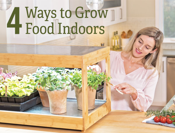 4 Ways to Grow Food Indoors