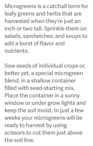 Microgreens - Sow seeds of individual crops or, better yet, a special microgreen blend, in a shallow container filled with seed-starting mix. Place the container in a sunny window or under grow lights and keep the soil moist. In just a few weeks your microgreens will be ready to harvest by using scissors to cut them just above the soil line.