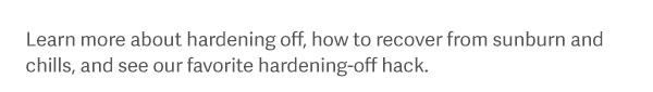Learn more about hardening off, how to recover from sunburn and chills, and see our favorite hardening-off hack.