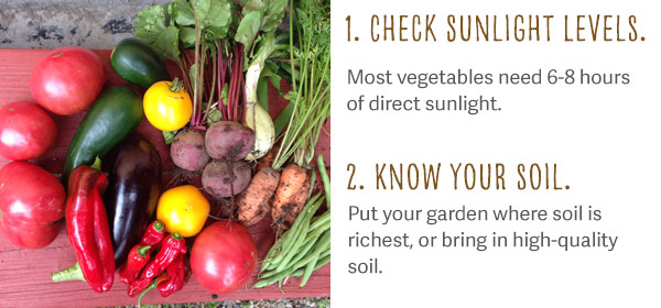 1. Check sunlight levels. Most vegetables need 6-8 hours of direct sunlight. 2. Know your soil. Put your garden where soil is richest, or bring in high-quality soil.