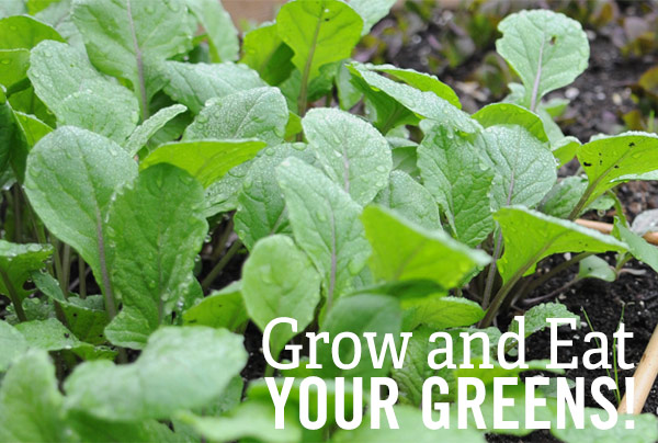 Grow and Eat Your Greens!