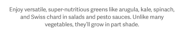 Enjoy versatile, super-nutritious greens like arugula, kale, spinach, and Swiss chard in salads and pesto sauces. Unlike many vegetables, they’ll grow in part shade.