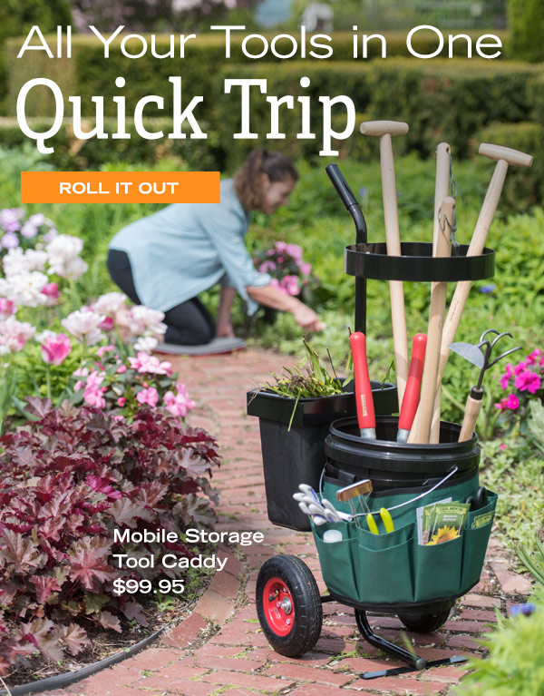 All Your Tools in One Quick Trip! Roll it out. Pictured: Mobile Storage Tool Caddy, $99.95