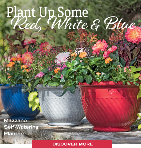 Plant Up Some Red, White, & Blue. Mazzano Self-Watering Planters. Discover More