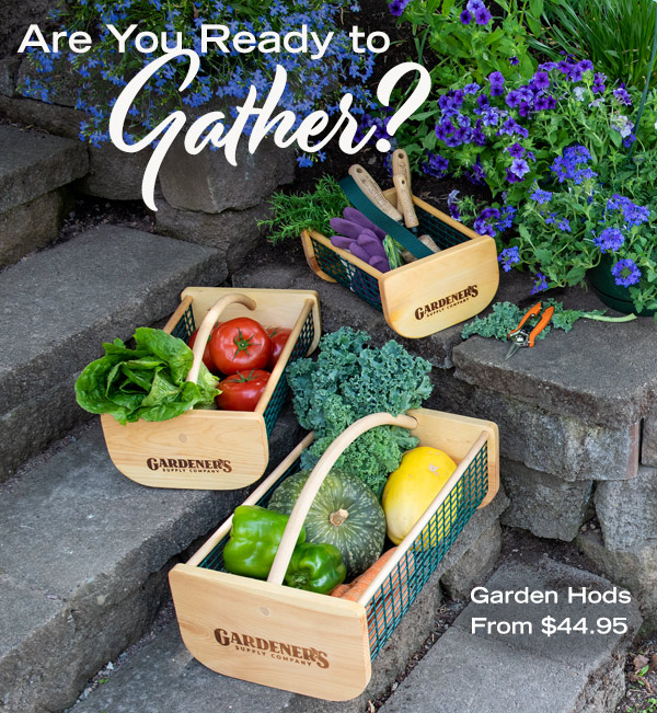 Are You Ready to Gather? Garden hods From $44.95