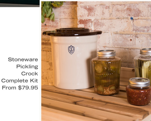 Stoneware Pickling Crock Complete Kit From $79.95