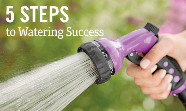 5 Steps to Watering Success