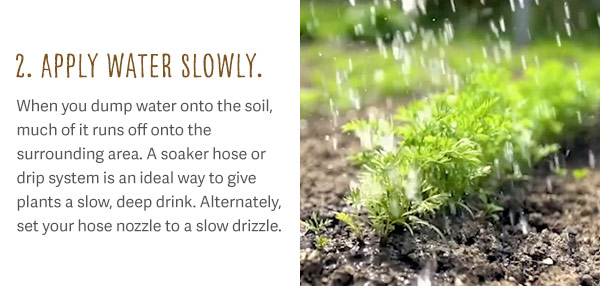 2. Apply Water Slowly. When you dump water onto the soil, much of it runs off onto the surrounding area. A soaker hose or drip system is an ideal way to give plants a slow, deep drink. Alternately, set your hose nozzle to a slow drizzle.