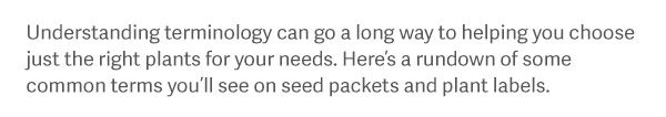 Understanding terminology can go a long way to helping you choose just the right plants for your needs. Here’s a rundown of some common terms you’ll see on seed packets and plant labels.