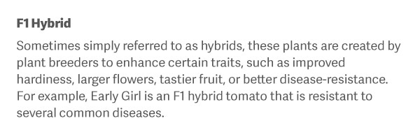 F1 Hybrid Sometimes simply referred to as hybrids, these plants are created by plant breeders to enhance certain traits, such as improved hardiness, larger flowers, tastier fruit, or better disease-resistance. For example, Early Girl is an F1 hybrid tomato that is resistant to several common diseases.