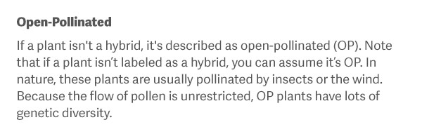 Open-Pollinated If a plant isn't a hybrid, it's described as open-pollinated (OP). Note that if a plant isn’t labeled as a hybrid, you can assume it’s OP. In nature, these plants are usually pollinated by insects or the wind. Because the flow of pollen is unrestricted, OP plants have lots of genetic diversity.