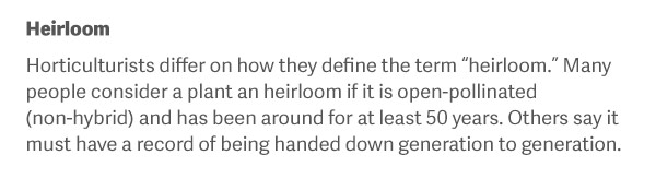 Heirloom Horticulturists differ on how they define the term “heirloom.” Many people consider a plant an heirloom if it is open-pollinated (non-hybrid) and has been around for at least 50 years. Others say it must have a record of being handed down generation to generation.