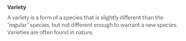 Variety A variety is a form of a species that is slightly different than the “regular” species, but not different enough to warrant a new species. Varieties are often found in nature.