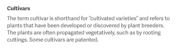 Cultivars The term cultivar is shorthand for “cultivated varieties” and refers to plants that have been developed or discovered by plant breeders. The plants are often propagated vegetatively, such as by rooting cuttings. Some cultivars are patented.