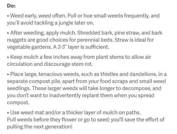 Do: Weed early, weed often. Pull or hoe small weeds frequently, and you’ll avoid tackling a jungle later on. After weeding, apply mulch. Shredded bark, pine straw, and bark nuggets are good choices for perennial beds. Straw is ideal for vegetable gardens. A 2-3” layer is sufficient. Keep mulch a few inches away from plant stems to allow air circulation and discourage stem rot. Place large, tenacious weeds, such as thistles and dandelions, in a separate compost pile, apart from your food scraps and small weed seedlings. These larger weeds will take longer to decompose, and you don’t want to inadvertently replant them when you spread compost. Use weed mat and/or a thicker layer of mulch on paths. Pull weeds before they flower or go to seed; you'll save the effort of pulling the next generation!