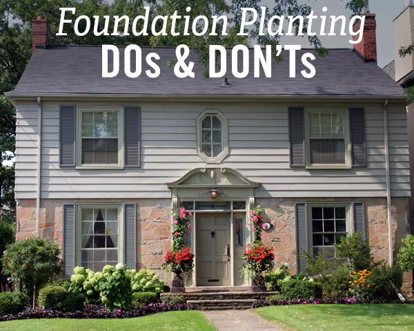 Foundation Planting Dos & Don'ts