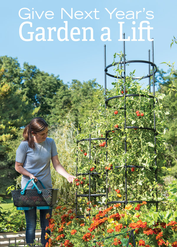 Give Next Year's Garden a Lift! Pictured: Woman holding Mod Hod Harvest Basket picking tomatoes growing on Tall Titan Tomato Cages.