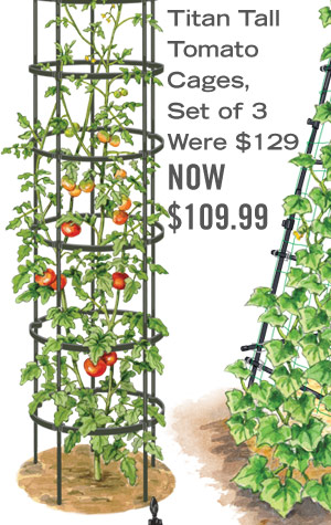 Titan Tall Tomato Cages, set of 3, were $129, now $109.99