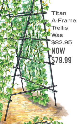 Titan A-Frame Trellis, was $82.95, now $79.99