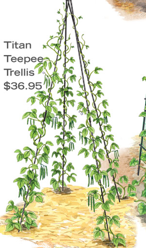 Titan Teepee Trellis,$36.95