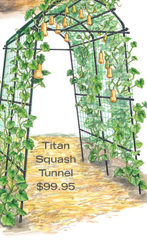 Titan Squash Tunnel, $99.95