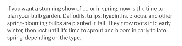 If you want a stunning show of color in spring, now is the time to plan your bulb garden. Daffodils, tulips, hyacinths, crocus, and other spring-blooming bulbs are planted in fall. They grow roots into early winter, then rest until it's time to sprout and bloom in early to late spring, depending on the type.