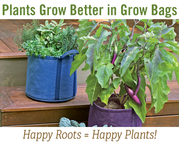 Plants Grow Better in Grow Bags! Happy Roots = Happy Plants!