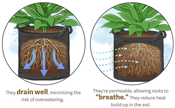 Grow Bags drain well, minimizing the risk of overwatering. They're permeable, allowing roots to "breathe". They reduce heat build-up in the soil.