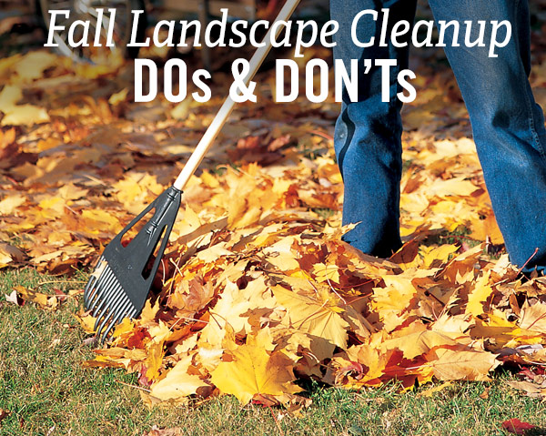 Fall Landscape Cleanup Dos & Don'ts