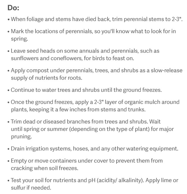 Do: When foliage and stems have died back, trim perennial stems to 2-3". Mark the locations of perennials, so you'll know what to look for in spring. Leave seed heads on some annuals and perennials, such as sunflowers and coneflowers, for birds to feast on. Apply compost under perennials, trees, and shrubs as a slow-release supply of nutrients for roots. Continue to water trees and shrubs until the ground freezes. Once the ground freezes, apply a 2-3" layer of organic mulch around plants, keeping it a few inches from stems and trunks. Trim dead or diseased branches from trees and shrubs. Wait until spring or summer for major pruning. Drain irrigation systems, hoses, and any other watering equipment. Empty or move containers under cover to prevent them from cracking when soil freezes. Test your soil for nutrients and pH (acidity/ alkalinity). Apply lime or sulfur if needed.