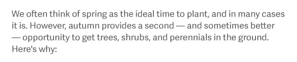 We often think of spring as the ideal time to plant, and in many cases it is. However, autumn provides a second — and sometimes better — opportunity to get trees, shrubs, and perennials in the ground. Here's why: