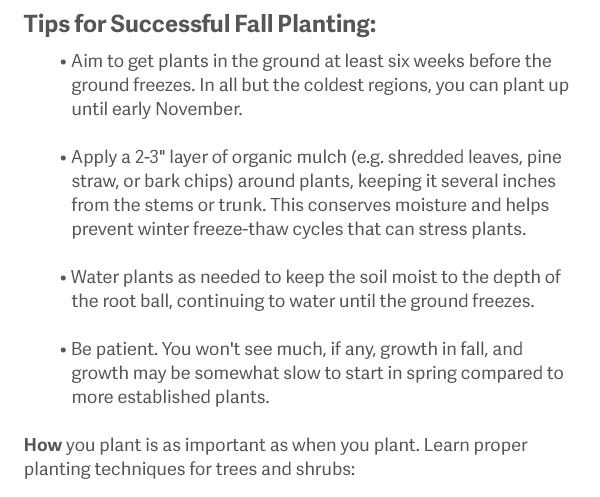 Tips for Successful Fall Planting: · Aim to get plants in the ground at least six weeks before the ground freezes. In all but the coldest regions, you can plant up until early November. · Apply a 2-3" layer of organic mulch (e.g. shredded leaves, pine straw, or bark chips) around plants, keeping it several inches from the stems or trunk. This conserves moisture and helps prevent winter freeze-thaw cycles that can stress plants. · Water plants as needed to keep the soil moist to the depth of the root ball, continuing to water until the ground freezes. · Be patient. You won't see much, if any, growth in fall, and growth may be somewhat slow to start in spring compared to more established plants.