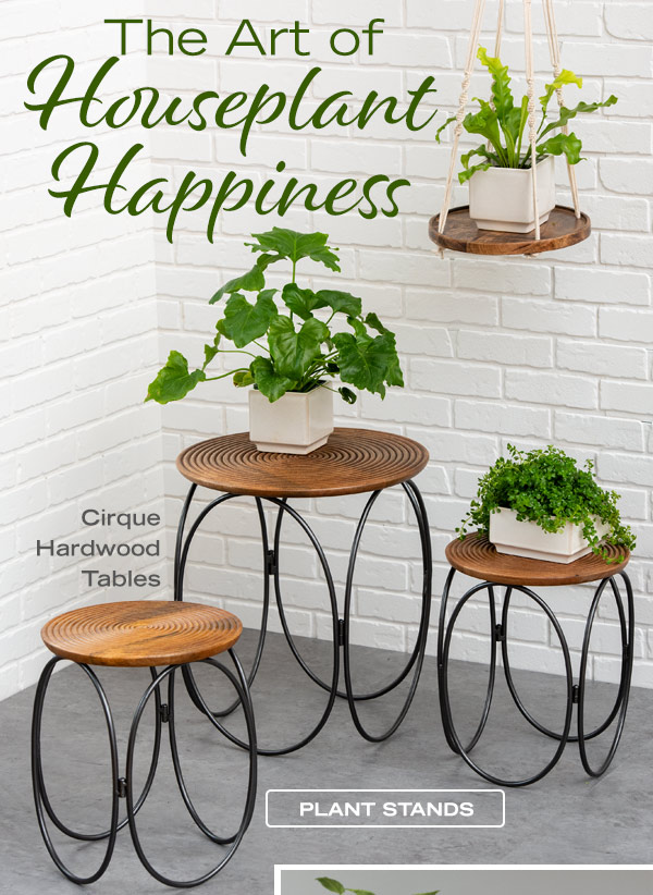 The Art of Houseplant Happiness! Pictured: Cirque Hardwood Tables. Shop Plant Stands