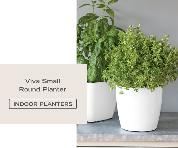 Viva Small Round Planter - Shop Indoor Planters