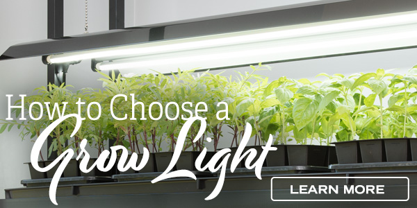 How to Choose a Grow Light - Learn More