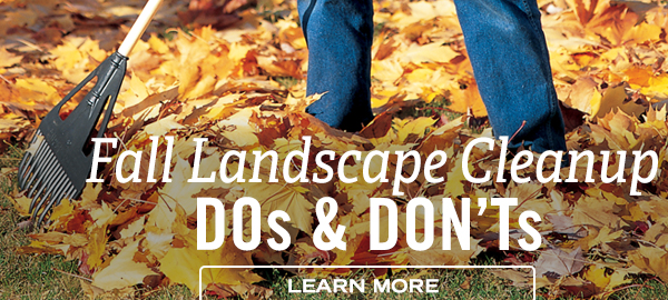 Fall Landscape Cleanup Dos and Don'ts - Learn More