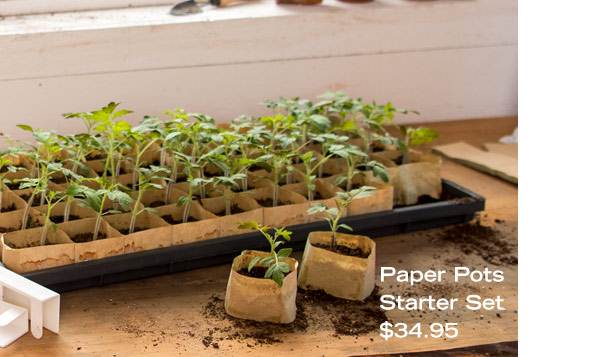 Paper Pots Starter Set, $34.95