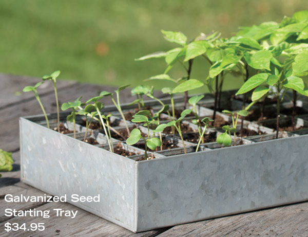 Galvanized Seed Starting Tray, $34.95