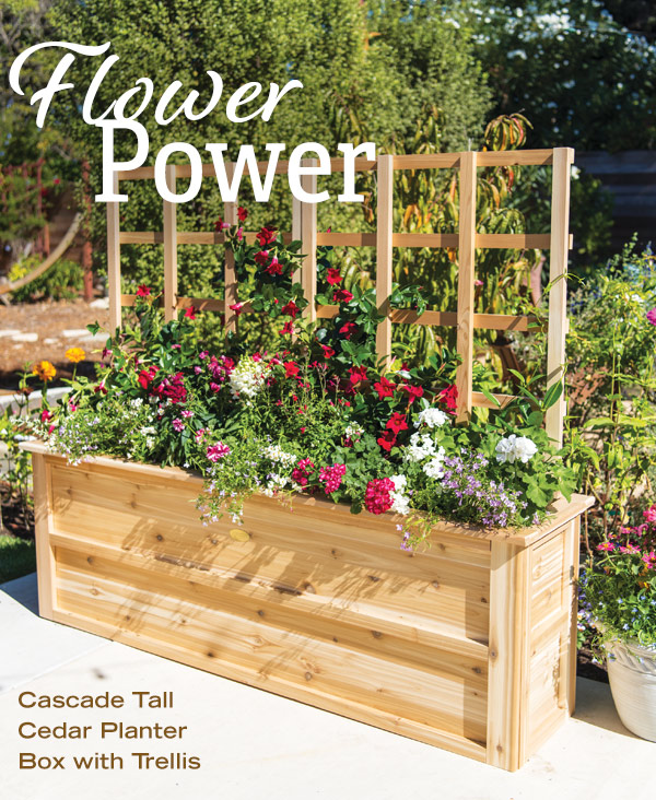 Flower Power - Cascade Tall Cedar Planter Box with Trellis